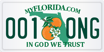 FL license plate 0010NG