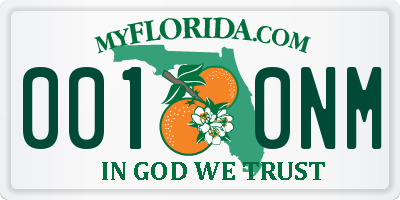 FL license plate 0010NM