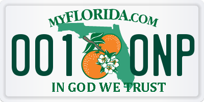 FL license plate 0010NP