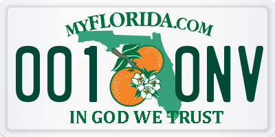 FL license plate 0010NV