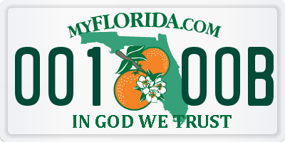 FL license plate 0010OB