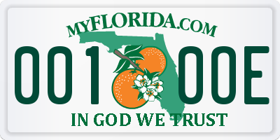 FL license plate 0010OE