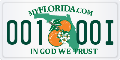 FL license plate 0010OI