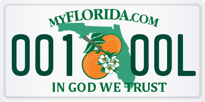 FL license plate 0010OL