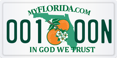 FL license plate 0010ON