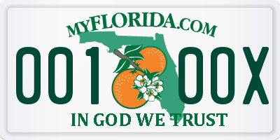 FL license plate 0010OX