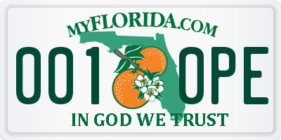 FL license plate 0010PE