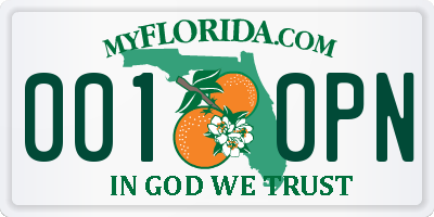 FL license plate 0010PN