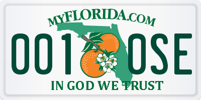 FL license plate 0010SE