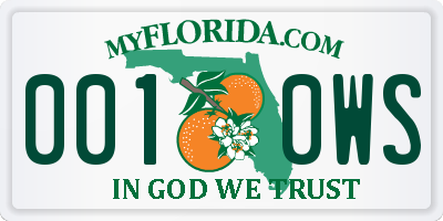 FL license plate 0010WS