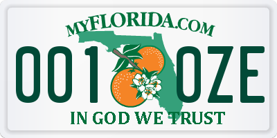 FL license plate 0010ZE