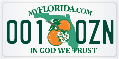 FL license plate 0010ZN