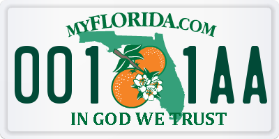 FL license plate 0011AA