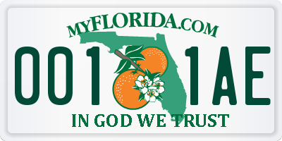 FL license plate 0011AE