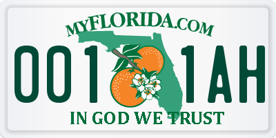 FL license plate 0011AH