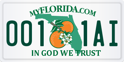 FL license plate 0011AI