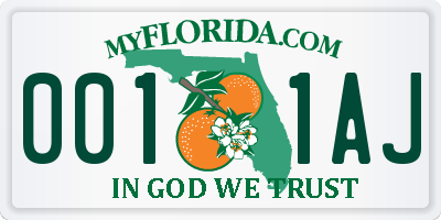 FL license plate 0011AJ