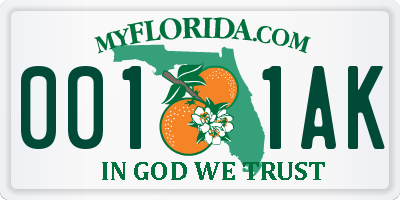 FL license plate 0011AK