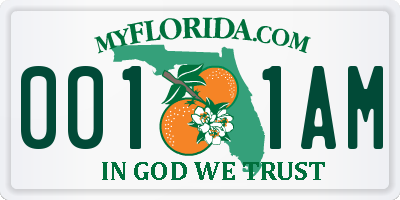 FL license plate 0011AM