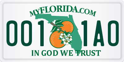 FL license plate 0011AO