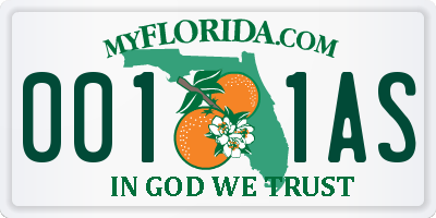 FL license plate 0011AS