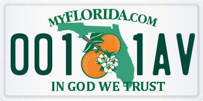 FL license plate 0011AV