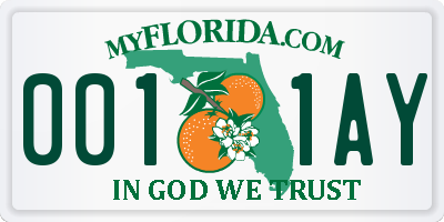 FL license plate 0011AY