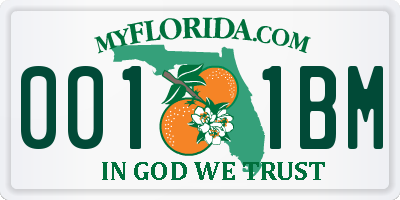 FL license plate 0011BM