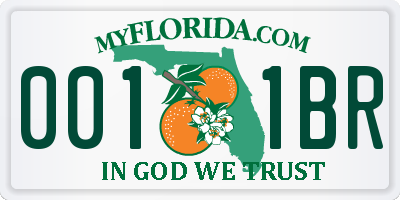 FL license plate 0011BR