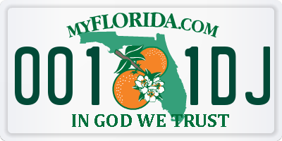 FL license plate 0011DJ