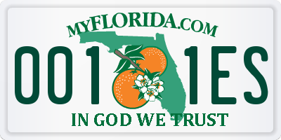 FL license plate 0011ES