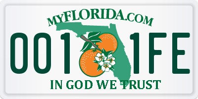 FL license plate 0011FE