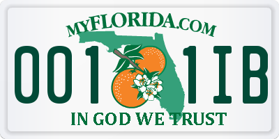 FL license plate 0011IB