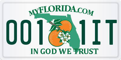FL license plate 0011IT