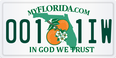 FL license plate 0011IW
