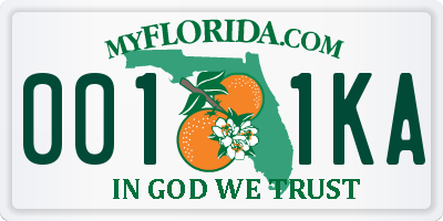 FL license plate 0011KA