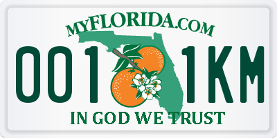 FL license plate 0011KM