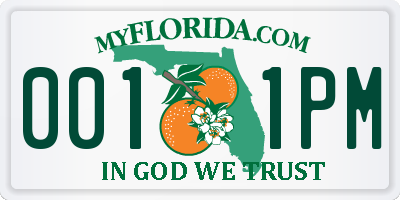 FL license plate 0011PM