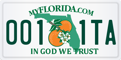 FL license plate 0011TA
