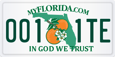 FL license plate 0011TE