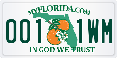 FL license plate 0011WM