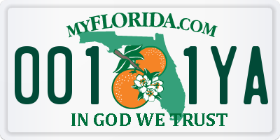FL license plate 0011YA