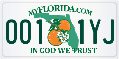FL license plate 0011YJ