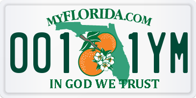 FL license plate 0011YM