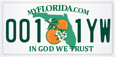 FL license plate 0011YW