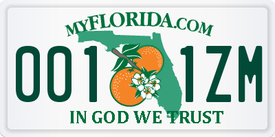 FL license plate 0011ZM