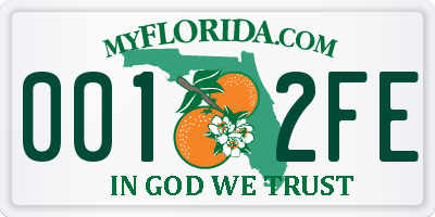 FL license plate 0012FE