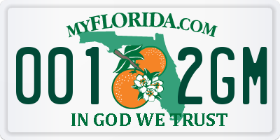 FL license plate 0012GM