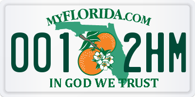 FL license plate 0012HM