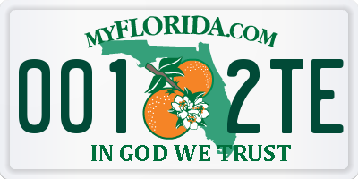 FL license plate 0012TE